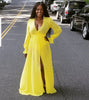 Sheer Me Dress